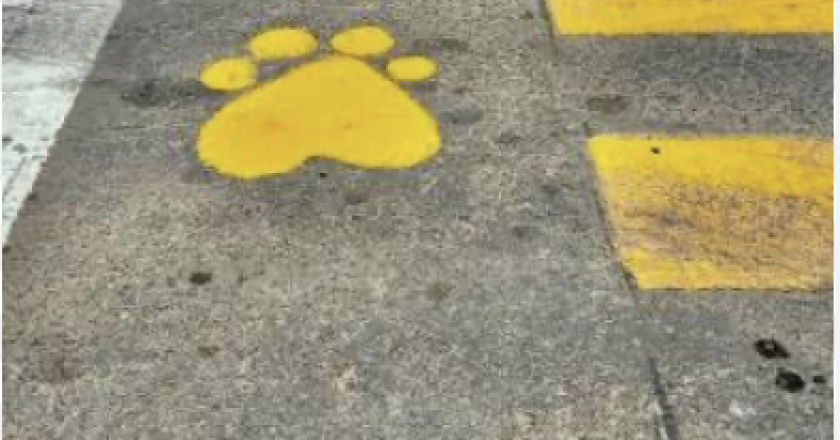 patitas.amarillas-840x440
